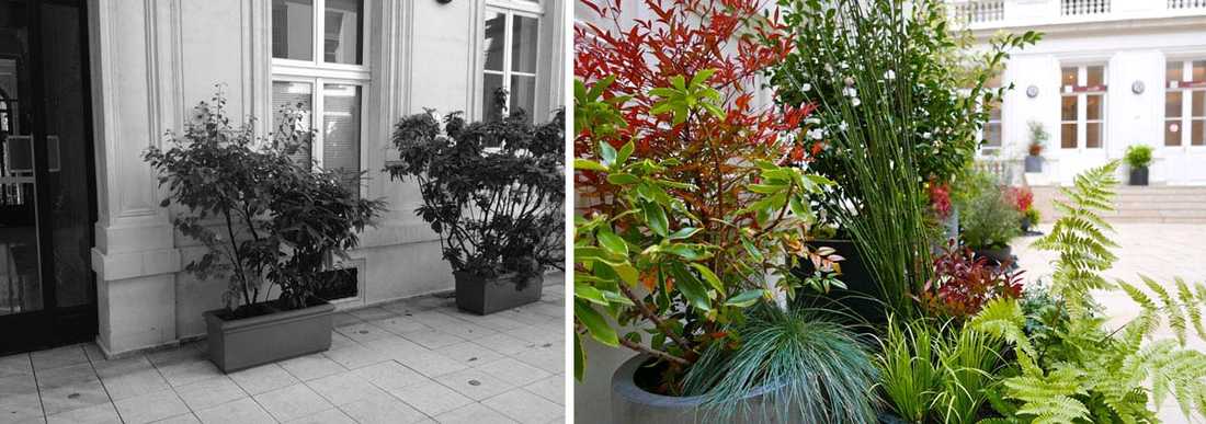 Un jardinier paysagiste aménage la cour intérieure d'un hôtel particulier à Nantes