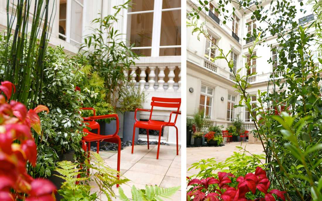 Aménagement paysager de la cour d'un hôtel particulier à Nantes